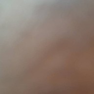 Black Box กะเพรากล่องดำ 1