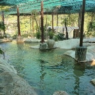 Rock Valley Hot Spring and Fish Spa กาญจนบุรี