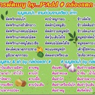 กล่องแตก ตามสั่ง