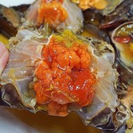 เคเคทะเลดองปูไข่ดองแซลมอลนครศรีฯ