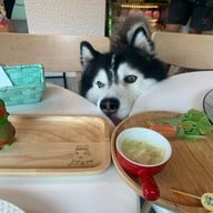 Jungle De Woof Cafe