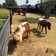 เมนูของร้าน The Resort Cafe'