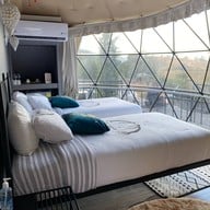 Dome La Deer