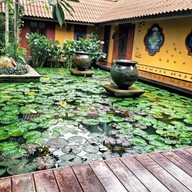 The Oasis Spa สุขุมวิท 51