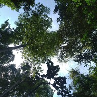 สวนขวัญ ทรอปิคอล คาเฟ่