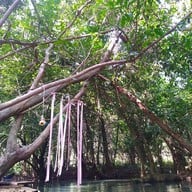 สวนขวัญ ทรอปิคอล คาเฟ่