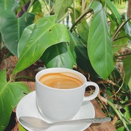 เรือนไม้แก่น