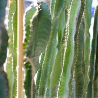 CUBE No.7 Coffee & Eatery