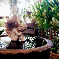 ไก่ย่างคุณหมอ ครัวเมจิกเฟิน แบริ่ง