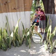 Good Drink Good Cups #summer Good Drink Good Cups #summer