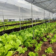 Farmsook Station