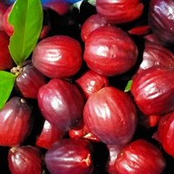 แซลม่อนซาซิมิ ชมพู่มะเหมี่ยว  ทุเรียน ข้าวเหนียวมะม่วง ต้มเลือดหมู ขนมปังหน้าหมู ข้าว ก๋วยเตี๋ยว อาห