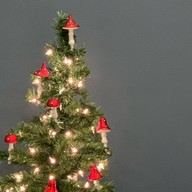 Shroomgarden Delivery Rama3, Bangkok