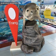 บรรยากาศ ท่าเรือหาดยาว