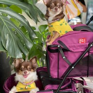 Let's Bite Homemade Let's Bite Homemade