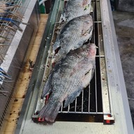 อาหารทะเล ปลาเผา