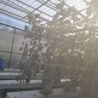 Kuboro Melon Farm Kuboro Melon Farm