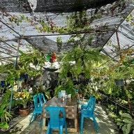 ครัวคุณย่า & ร้านกล้วยไม้ถูกที่สุดในโลก