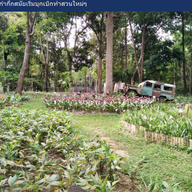 สวนพฤกษศาสตร์ ดงฟ้าห่วน