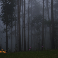 สถานีวิจัยเกษตรที่สูงสันป่าเกี๊ยะ