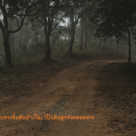 สถานีวิจัยเกษตรที่สูงสันป่าเกี๊ยะ