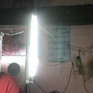 เหมียว ตามสั่ง