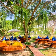 Mushroom Cafe
