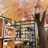 Wasabi Japanese Restaurant มีโชคพลาซ่า