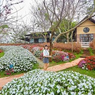 บรรยากาศ Seven Ozone @ Flora Park