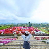 บรรยากาศ Seven Ozone @ Flora Park