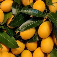 แซลม่อนซาซิมิ ชมพู่มะเหมี่ยว  ทุเรียน ข้าวเหนียวมะม่วง ต้มเลือดหมู ขนมปังหน้าหมู ข้าว ก๋วยเตี๋ยว อาห