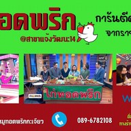 ไก่ทอด-หมูทอดพริกกระเจียว (การันตีความอร่อย จากช่องดัง!) แจ้งวัฒนะ14