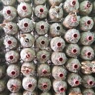 เขาใหญ่ พาโนราม่า ฟาร์ม