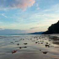 บรรยากาศ ฟองคลื่น คาเฟ่