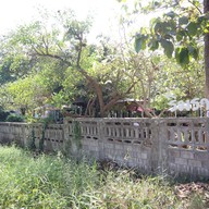 กาแฟริมราง