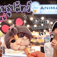 Animal ICE CREAM Terminal 21 Pattaya