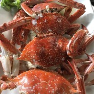 เลนัว ซีฟู้ด อาหารอีสาน อ่อนนุช