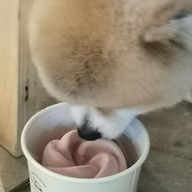 เมนูของร้าน Bounce Dog Sport Center