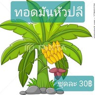 ครัวป้าสวย ตลาดลุงออม