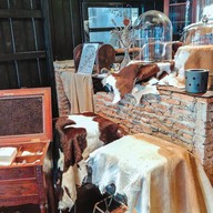 Blacksmith café Dinner