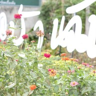 บ้านฉัน@หลงรักบึง