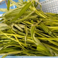 แดกรุ่งหมูกระทะ กระบี่