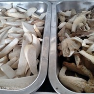 แดกรุ่งหมูกระทะ กระบี่