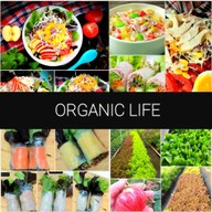ORGANIC Life. ออร์แกนิค ไลฟ์