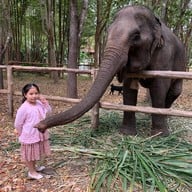 ทรัพย์ไพรวัลย์รีสอร์ท