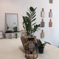 Thinkin Cafe หลังมข.