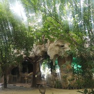 วัดไทรพุทธรังสี