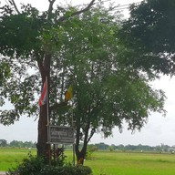 วัดไทรพุทธรังสี