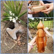 วัดไทรพุทธรังสี