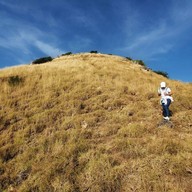 แหลมกระทิง